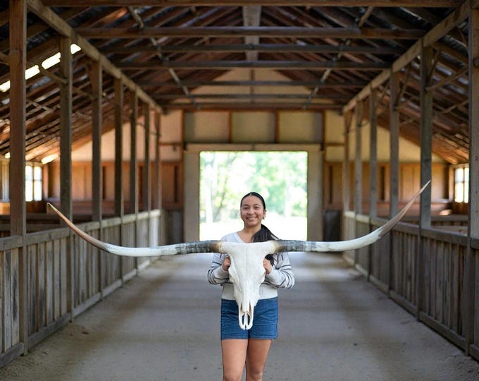 Featured listing image: Texas Longhorn Skull | Cowboy Man Cave Wall Art | Fireplace Decor 894
