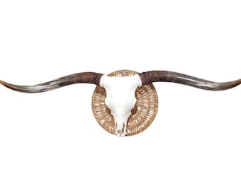Jumbo Longhorn Bull Skull Art | Mancave Home Accent | Unique Gift 826