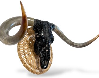 Mirrored Glass Longhorn Skull | 102 inches total horn | Legacy Art Piece | One of a Kind 787