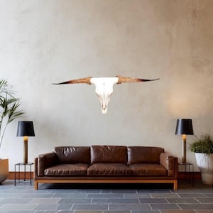 Real Longhorn Skull | Western Home Decor | Rustic Farmhouse | Art 776