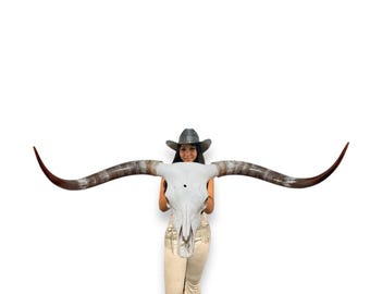 Longhorn Cow Skull | Repurposed Art | Heirloom Western Decor 837