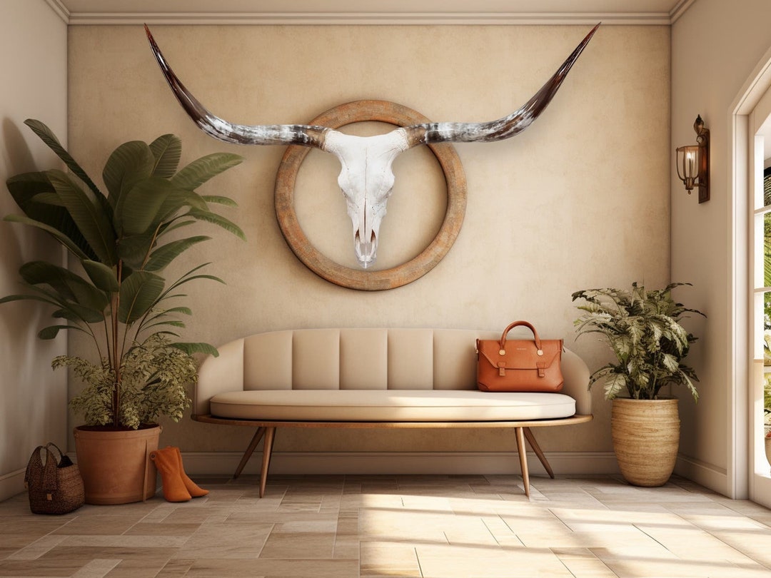 Steer Skull Euro Mount Real Longhorns Western Rustic Decor 624 - Etsy