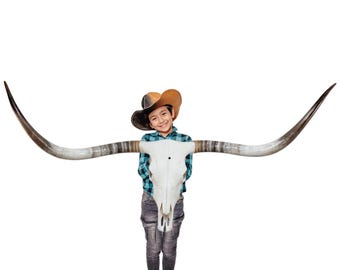 Longhorn Skull | Modern Farmhouse | Repurposed Authentic Art 832
