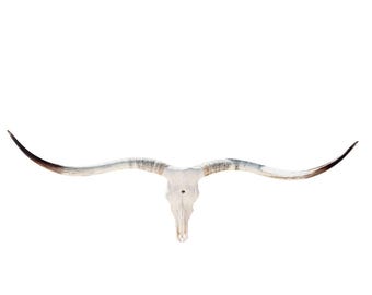 Texas Longhorn Skull | Cowboy Man Cave Wall Art | Fireplace Decor 865
