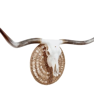 Authentic Longhorn Skull | Modern Contemporary Wall Art 833