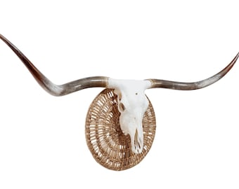 Authentic Longhorn Skull | Modern Contemporary Wall Art 833
