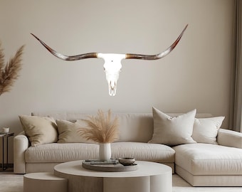 Authentic Longhorn Skull | Modern Contemporary Wall Art 833