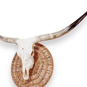 Longhorn Cow Skull | Repurposed Art | Heirloom Western Decor 697 - Etsy