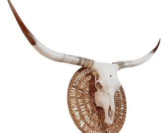 Longhorn Cow Skull | Repurposed Art | Heirloom Western Decor 831