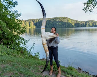 Texas Longhorn Skull Art | 97 inches TTT | Western Ranch Decor | Rare Gift 921