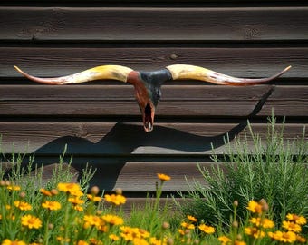 Longhorn Skull Art | Rust and Patina Design |  Real Steer Skull | Western Organic Decor 856
