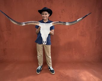 Texas Longhorn Skull | Cowboy Man Cave Wall Art | Fireplace Decor 914