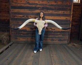 Longhorn Skull Euro Mount | Mancave She shed Wall Accent  906