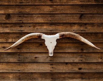 XXLARGE Skulls 80”-89”