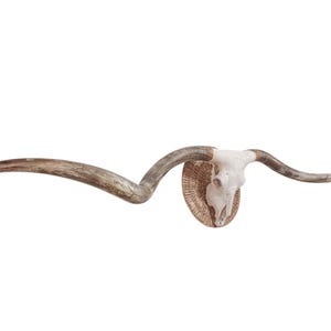 Massive Handcrafted Longhorn Skull Art | Western Modern Boho Wall Decor 829