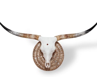 Real Texas Longhorn Skull | Bull Skull | Perfect Home Accent Skull Art 804