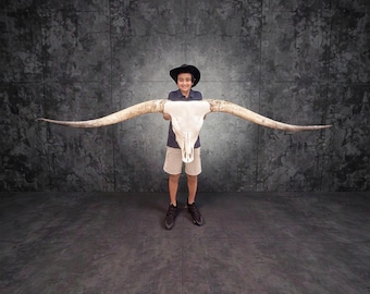 Real Longhorn Skull Man Cave | Entryway and Game Room Decor | Office Room 912