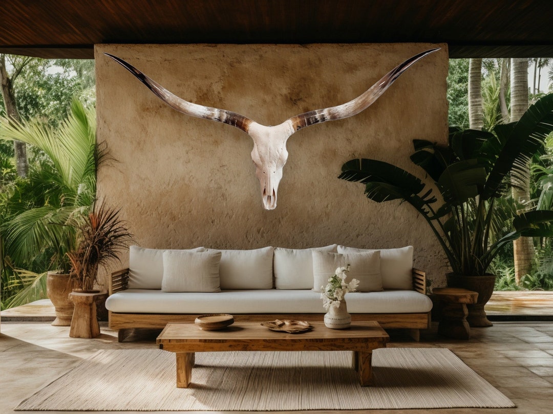 Longhorn Cow Skull | Euro Mount | Taxidermy| Rustic Western Decor 634 ...