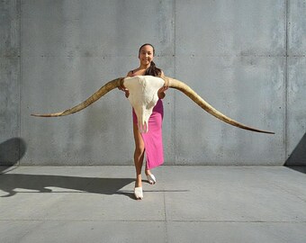 Longhorn Skull | Western Wall Art | Unique Gift | Man Cave | Bar Decor  892