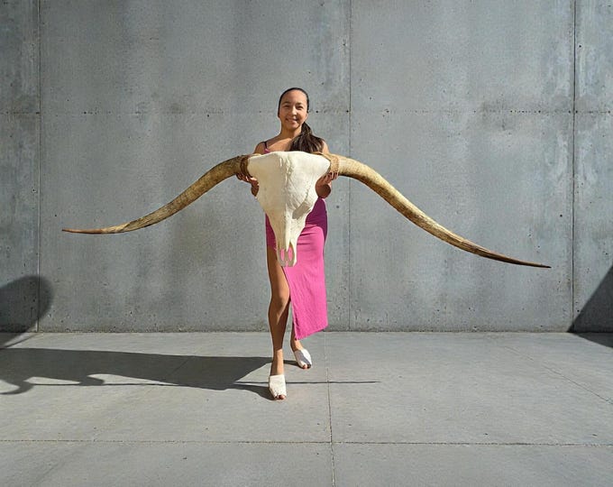 Featured listing image: Longhorn Skull | Western Wall Art | Unique Gift | Man Cave | Bar Decor  892