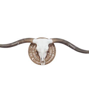 Jumbo Longhorn Skull Art | Modern Contemporary Statement Piece for Entryway  828