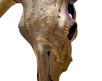 Textured Longhorn Skull Wall Mount: Western Collector Decor