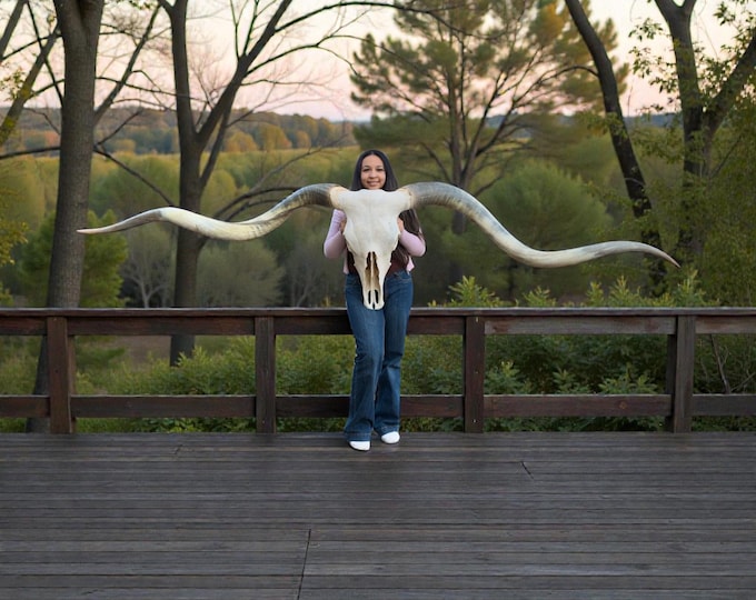 Featured listing image: Massive Longhorn Skull | Texas Twist | 113.5 inches TTT | Rare 907