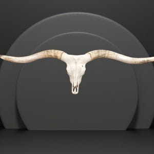 Massive Longhorn Bull Skull Art | Texas Twist  | Unique Wall Decor 827