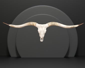 Massive Longhorn Bull Skull Art | Texas Twist  | Unique Wall Decor 827