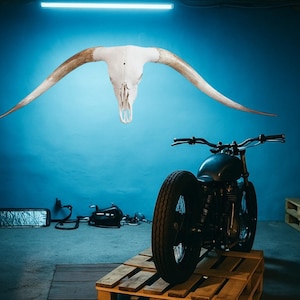 Longhorn Wall Decor | Authentic Man Cave Steer Longhorn Skull Art 825