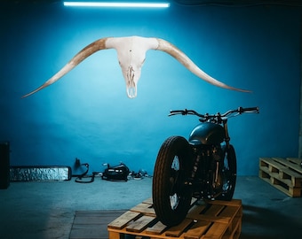 XLARGE SKULLS 70" - 79"