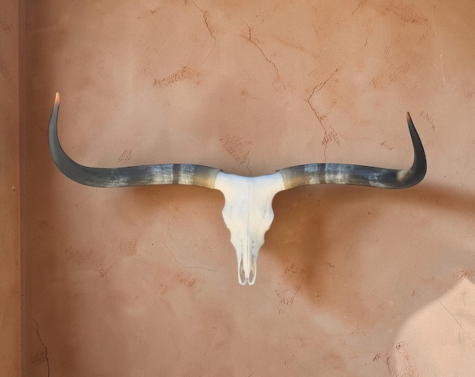Featured listing image: Longhorn Skull | Man Cave Wall Mount | She shed Art | Western Modern 918