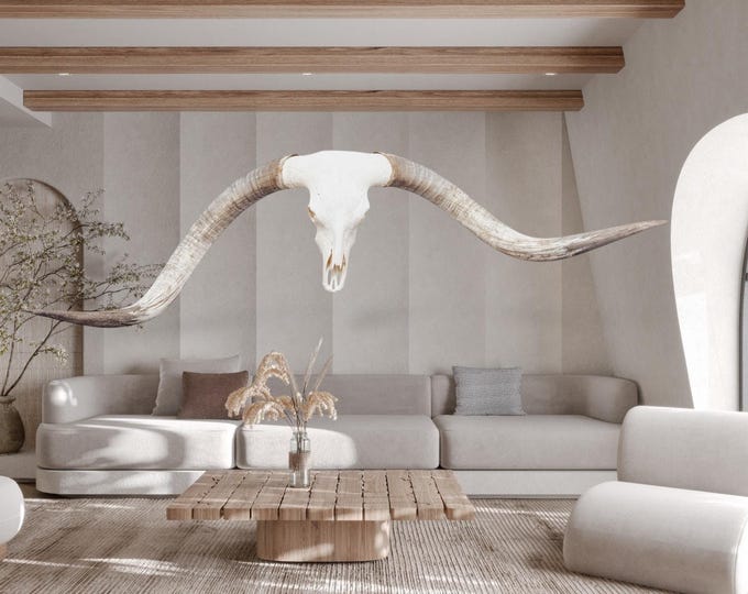 Featured listing image: Real Longhorn Skull | TROPHY LONGHORN | Rare Legacy Collector's Item | Lodge Luxury Decor 794