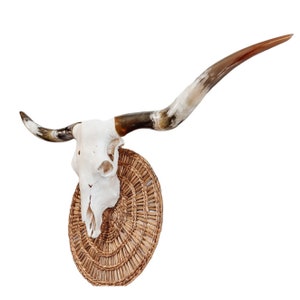 Real Longhorn Cow Skull Western Home Decor Rustic Farmhouse Art 608 - Etsy
