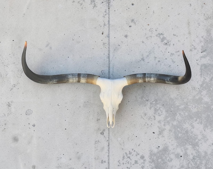 Featured listing image: Longhorn Skull | Man Cave Wall Mount | She shed Art | Western Modern 918