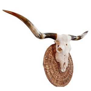 Real Longhorn Cow Skull Western Home Decor Rustic Farmhouse Art 608 - Etsy