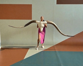 Authentic Longhorn Skull | Trophy Room Wall Art | Lodge Man cave Room Accent 893