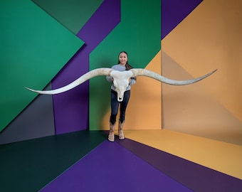 Massive Longhorn Skull | Trophy Room | High End Collector Piece | Lodge Decor 922