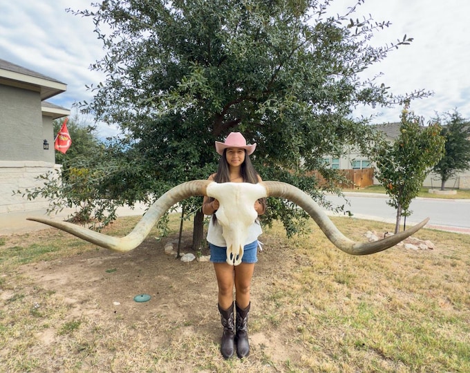 Featured listing image: Real Longhorn Skull | Entryway and Game Room Decor | Office Room 879