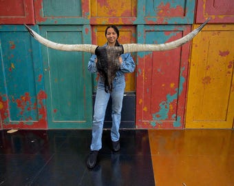 Longhorn Skull Wall Art | Modern Rustic | Boho Chic Wall Mount