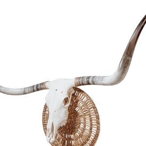 Longhorn Skull | Modern Farmhouse | Repurposed Authentic Art 832