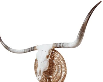 Longhorn Skull | Modern Farmhouse | Repurposed Authentic Art 832