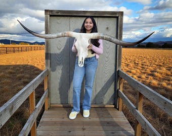 Authentic Longhorn Skull Taxidermy Art | Unique Wall Mount 902