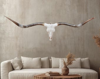 Longhorn Cow Skull | Modern Farmhouse | Repurposed Authentic Art 853