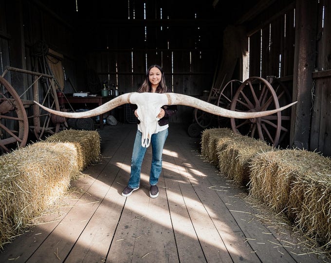 Featured listing image: Real Longhorn Skull | 118.5 TTT Extremely Rare Skull Art Taxidermy 913