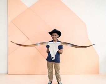 Authentic Longhorn Skull | Modern Contemporary Wall Art 915