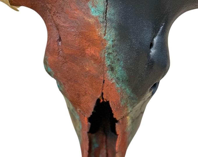 Featured listing image: Real Longhorn Skull Art | Outdoor Patio Rustic Western Decor 856