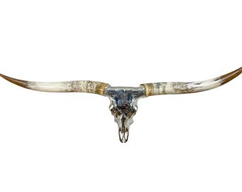 Fine Art | High End Longhorn Skull Art | Collector's Piece | Pure Silver 813