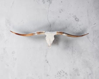 Authentic Longhorn Skull | Modern Contemporary Wall Art 915