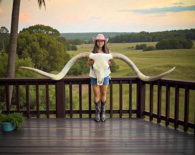 Featured listing image: Real Longhorn Skull | Entryway and Game Room Decor | Office Room 879